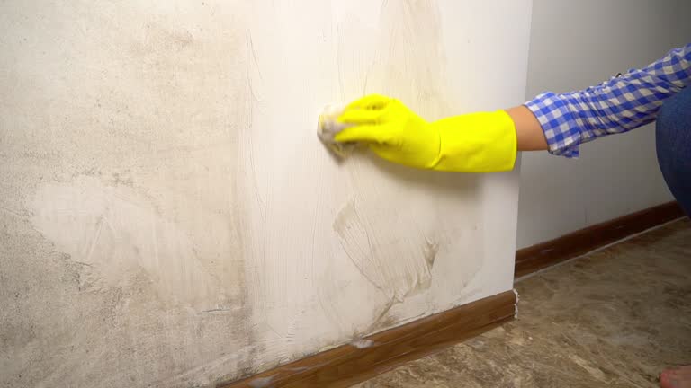 Best Airborne Mold Testing  in Jamestown, OH